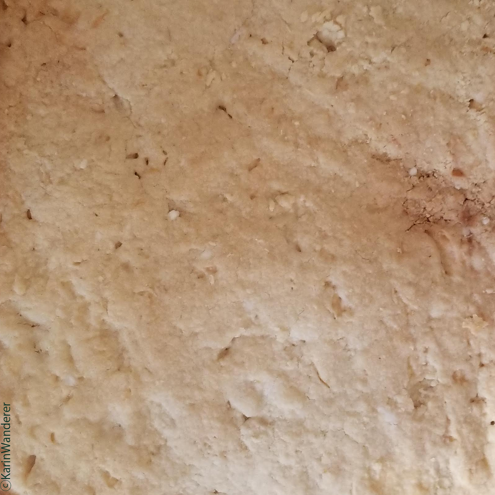 Close-up photo of golden-brown shortbread in a square glass baking dish.