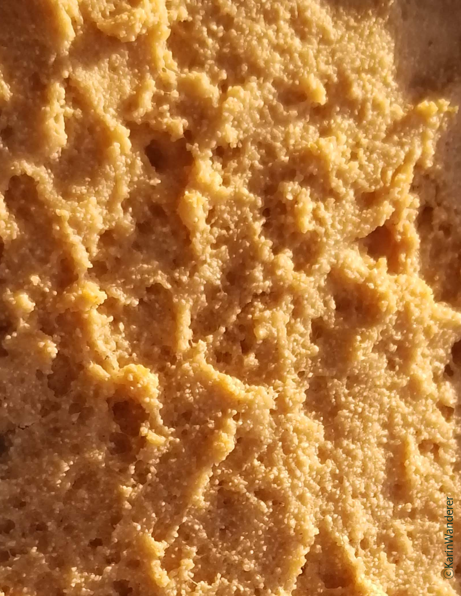 Photo of the golden brown delicious top of a loaf of peanut butter bread.