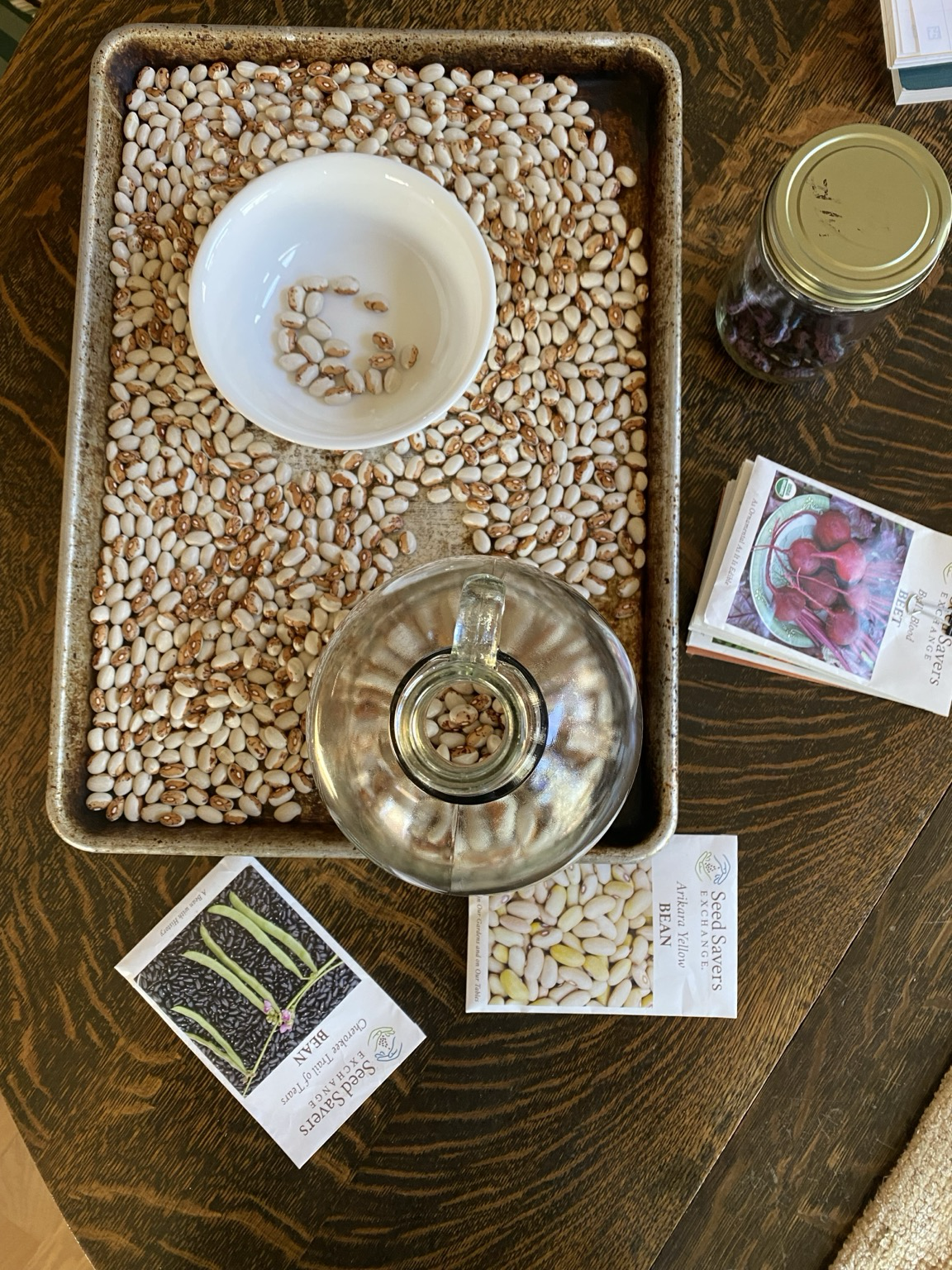 A coolie sheet of lovely two color beans, a glass jug of beans, a white bowl of the chosen ones.