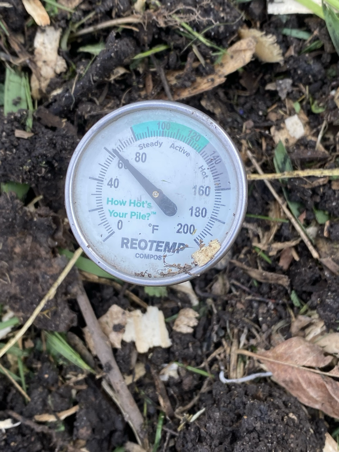 A thermometer gauge reading 63 F ( 17 C) with a background of dark soil, green plant bits and wood chip